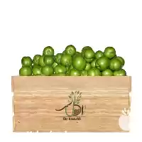 قیمت خرید عمده نهال گوجه سبز در کرج در گروه خرید و فروش نهال در یکمیوه