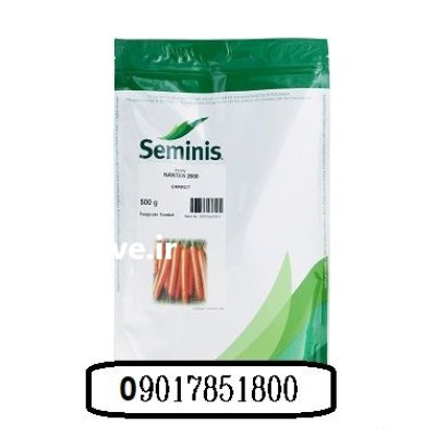 فروش بذر هویج 2000 نانتس در شیراز در گروه خرید و فروش بذر هویج در یکمیوه -عکس1