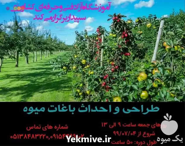 قیمت خرید دوره آموزشی طراحی و احداث باغات در گروه دوره آموزش کشاورزی در یکمیوه -عکس1