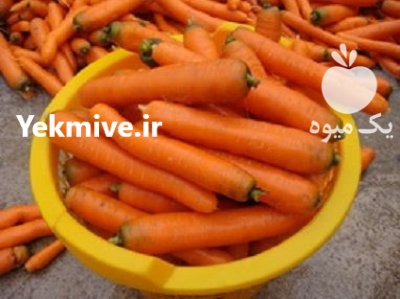 فروش بذر هویج استاندارد فورتو forto در شیراز در گروه خرید و فروش هویج در یکمیوه -عکس1
