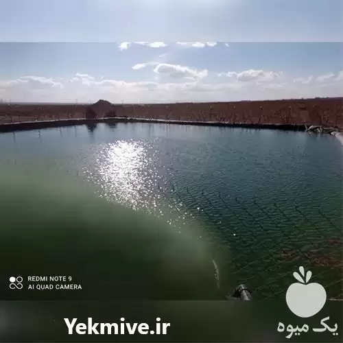 فروش احداث استخر کشاورزی با برترین در ارومیه در گروه خرید و فروش استخر کشاورزی در یکمیوه -عکس1