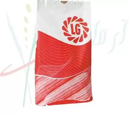 فروش بذر ذرت لیماگرین LG در شیراز در گروه خرید و فروش بذر ذرت در یکمیوه -عکس1