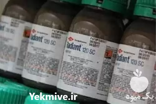قیمت خرید حشره کش رادیانت در گروه خرید و فروش انواع سم در یکمیوه -عکس1