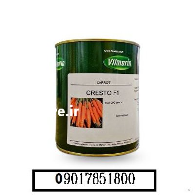 فروش بذر هویج ویلمورین کریستو در شیراز در گروه خرید و فروش بذر هویج در یکمیوه -عکس1