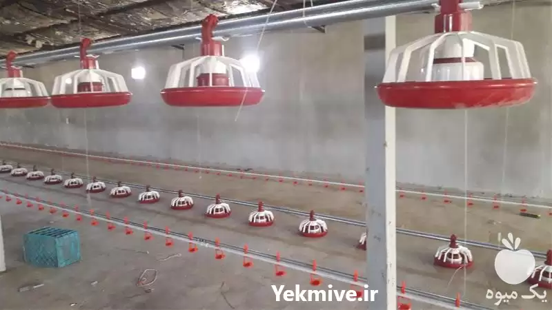 قیمت خرید دانخوری و آبخوری در ساری در گروه تجهیزات مرغداری در یکمیوه -عکس1