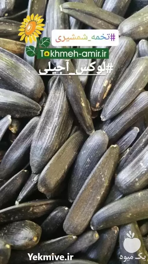 فروش 	پخش و ارسال تخمه شمشیری در ساری در گروه خرید و فروش انواع تخمه در یکمیوه -عکس1