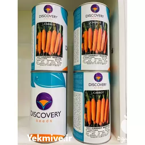 فروش بذر هویج نانتس دیسکاوری در گروه خرید و فروش بذر هویج در یکمیوه -عکس1