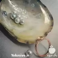 برگزاری دوره آموزش تولید صدف مروارید در تهران در گروه دوره آموزش کشاورزی در یکمیوه