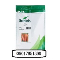 فروش بذر هویج 2000 نانتس در شیراز در گروه خرید و فروش بذر هویج در یکمیوه