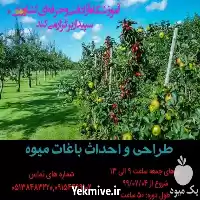 قیمت خرید دوره آموزشی طراحی و احداث باغات در گروه دوره آموزش کشاورزی در یکمیوه