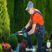 اجرای فضای سبز در گروه سازنده در یکمیوه