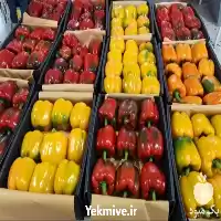 فروش فلفل دلمه رنگی صادراتی در گروه خرید و فروش فلفل در یکمیوه