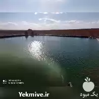 فروش احداث استخر کشاورزی با برترین در ارومیه در گروه خرید و فروش استخر کشاورزی در یکمیوه