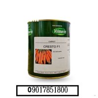 فروش بذر هویج ویلمورین کریستو در شیراز در گروه خرید و فروش بذر هویج در یکمیوه