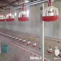 قیمت خرید دانخوری و آبخوری در ساری در گروه تجهیزات مرغداری در یکمیوه