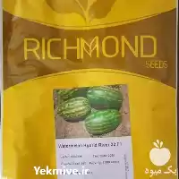 قیمت خرید بذر هندوانه ریور 32 در گروه خرید و فروش بذر هندوانه در یکمیوه