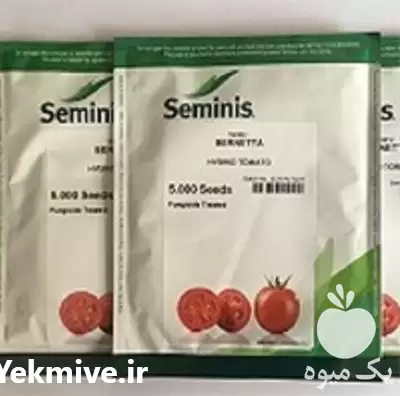 قیمت خرید قیمت بذر گوجه برنتا در کرمان  در گروه خرید و فروش بذر گوجه در یکمیوه -عکس1