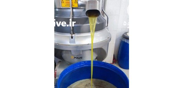 فروش روغن زیتون در گروه خرید و فروش انواع روغن در یکمیوه -عکس1