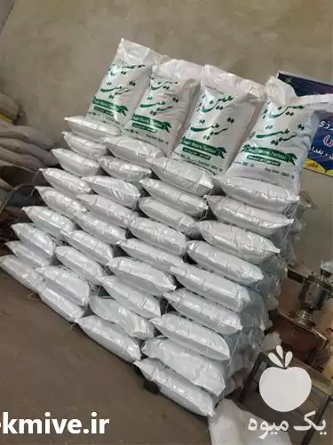 تامین و فروش بذر علوفه در شیراز در گروه خرید و فروش بذر یونجه در یکمیوه -عکس1