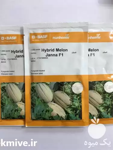 فروش بذر خربزه جانا در کرمانشاه در گروه خرید و فروش بذر خربزه در یکمیوه -عکس1