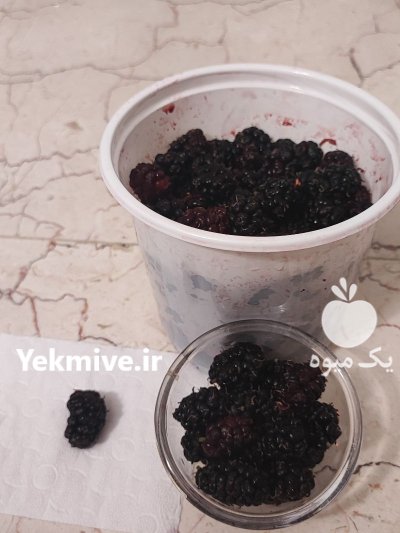 شاه توت درجه 1 اوشان در تهران در گروه خرید و فروش توت در یکمیوه -عکس1