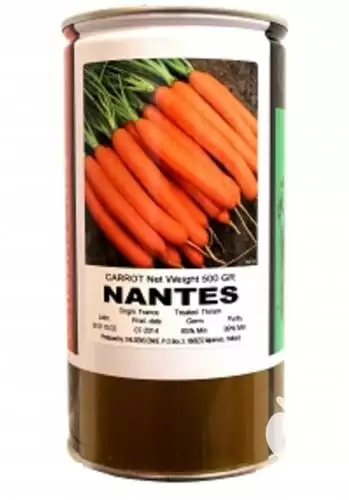 قیمت بذر هویج نانتس  فروش بذر هویج در همدان در گروه خرید و فروش بذر هویج در یکمیوه -عکس1