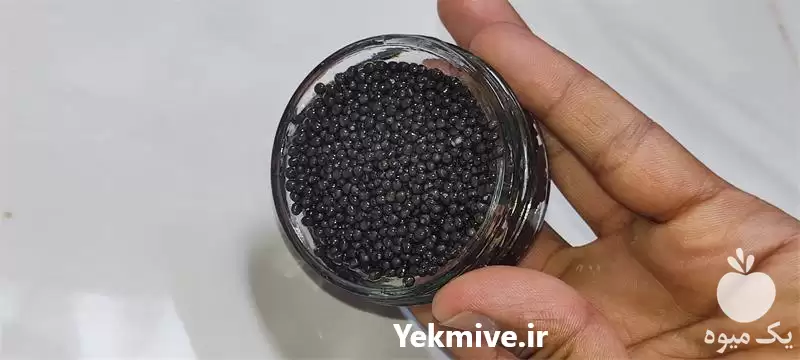 بسته بندی فروش خاویار در رشت در گروه خرید و فروش انواع ماهی در یکمیوه -عکس1