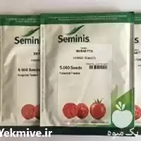 قیمت خرید قیمت بذر گوجه برنتا در کرمان  در گروه خرید و فروش بذر گوجه در یکمیوه