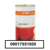 فروش بذر گوجه فرنگی سانسید 6189 در یزد در گروه خرید و فروش بذر گوجه در یکمیوه