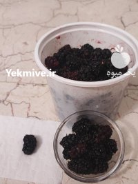 شاه توت درجه 1 اوشان در تهران در گروه خرید و فروش توت در یکمیوه