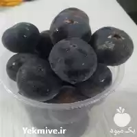 قیمت خرید نهال انجیر سیاه گلدانی در ساری در گروه خرید و فروش انجیر در یکمیوه