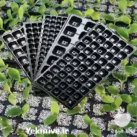 قیمت خرید ویژه سینی نشا یکبار در همدان در گروه خرید و فروش نشا در یکمیوه