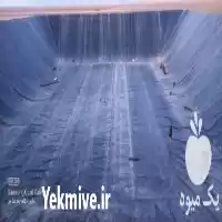 فروش 	ورق ژئوممبران عایق بندی استخرهای سیمانی در گروه خرید و فروش ژئوممبران و ژئوتکستایل در یکمیوه