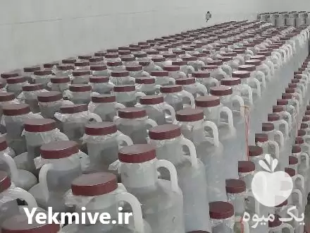 تولید پخش خیارشور فروش خیار سبز در همدان در گروه محصولات ترشی در یکمیوه -عکس1