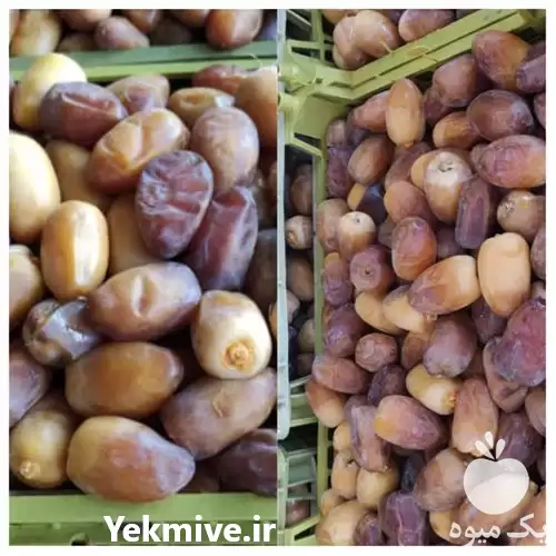 خرید و فروش رطب خرما کبکاب در بوشهر در گروه خرید و فروش خرما در یکمیوه -عکس1