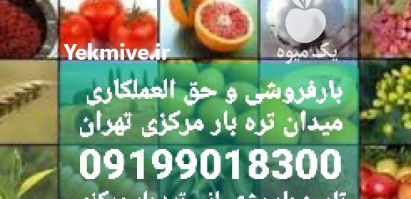 باران بزرگ حق العملکاری در میدان در گروه حق العمل کاری محصولات کشاورزی در یکمیوه -عکس1