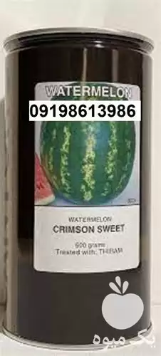 قیمت خرید بذر هندوانه کانیون در گروه خرید و فروش بذر هندوانه در یکمیوه -عکس1