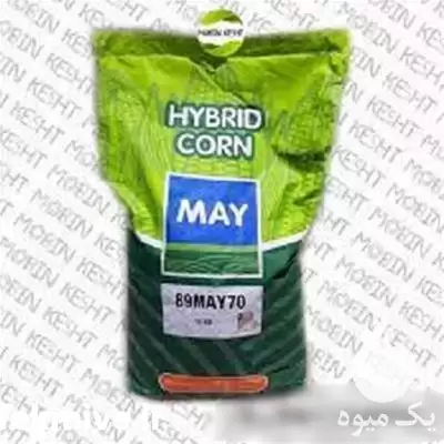 فروش بذر ذرت مای رقم 89 MAY 70 در اصفهان در گروه خرید و فروش بذر ذرت در یکمیوه -عکس1