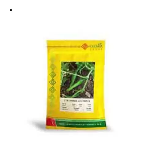 قیمت خرید بذر خیار گلوریا در گروه خرید و فروش بذر خیار در یکمیوه -عکس1