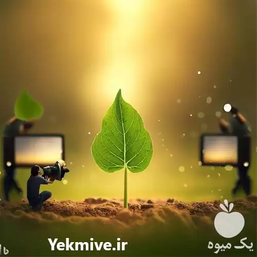 قیمت نهال فضای سبز در تهران در گروه خرید و فروش نهال در یکمیوه -عکس1