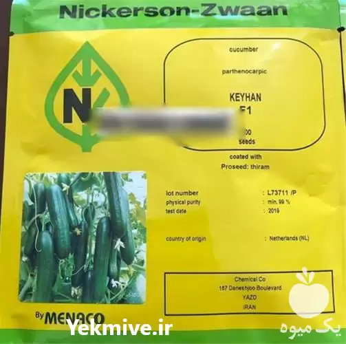 فروش بذر خیار گلخانه ای کیهان در بوشهر در گروه خرید و فروش بذر خیار در یکمیوه -عکس1