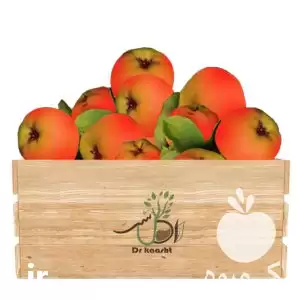 فروش عمده نهال به قرمز در ارومیه در گروه خرید و فروش نهال به در یکمیوه -عکس1