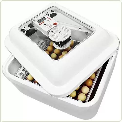 قیمت خرید دستگاه جوجه کشی خانگی در رشت در گروه تجهیزات مرغداری در یکمیوه -عکس1