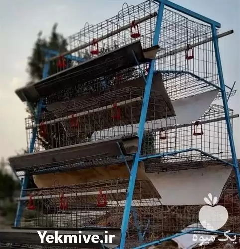 فروش بهترین قیمت قفس مرغ تخمگذار در ارومیه در گروه تجهیزات مرغداری در یکمیوه -عکس1