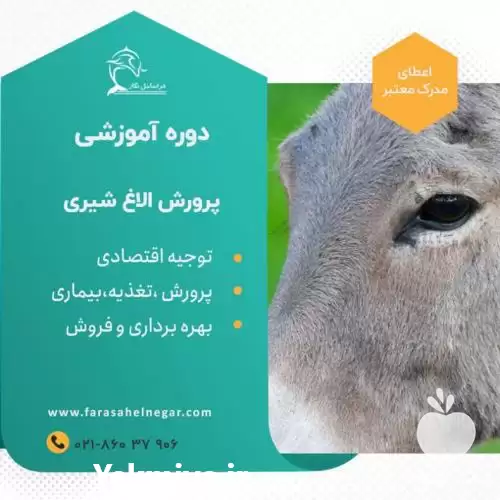 آموزش تخصصی پرورش الاغ شیری در تهران در گروه دوره آموزش کشاورزی در یکمیوه -عکس1