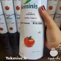 فروش انواع بذر کشاورزی بذر گوجه فرنگی در گروه خرید و فروش انواع بذر در یکمیوه