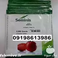 بذر گوجه فرنگی باسیمو پر فروش در اردبیل در گروه خرید و فروش بذر گوجه در یکمیوه