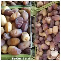 خرید و فروش رطب خرما کبکاب در بوشهر در گروه خرید و فروش خرما در یکمیوه