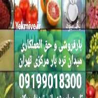 باران بزرگ حق العملکاری در میدان در گروه حق العمل کاری محصولات کشاورزی در یکمیوه