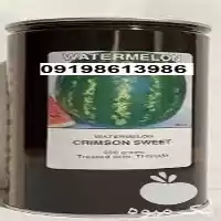 قیمت خرید بذر هندوانه کانیون در گروه خرید و فروش بذر هندوانه در یکمیوه